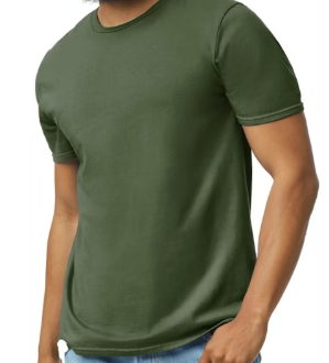 Custom Short Sleeve T-Shirt (ADULT)